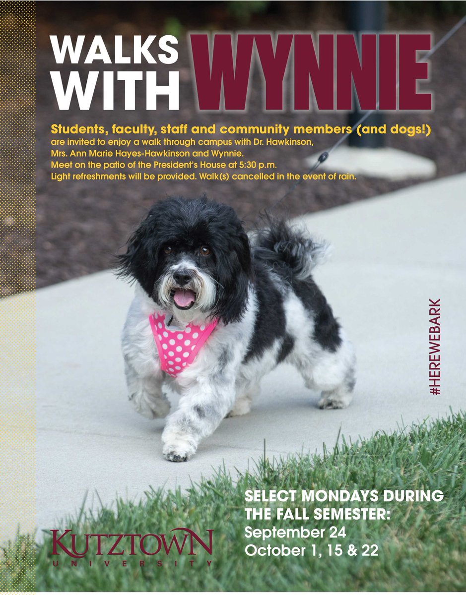 KUHousing's tweet photo. Hey Golden Bears!
Do you like dogs? Do you like walks? Do you like walks WITH dogs?! Then come on out for a Walk with Wynnie, the beloved dog of our president, Dr. Hawkinson, and his wife Mrs. Anne Marie Hayes-Hawkinson at 5:30pm in front of the President's House. #HereWeBark https://t.co/Kyz9f2gj1F
