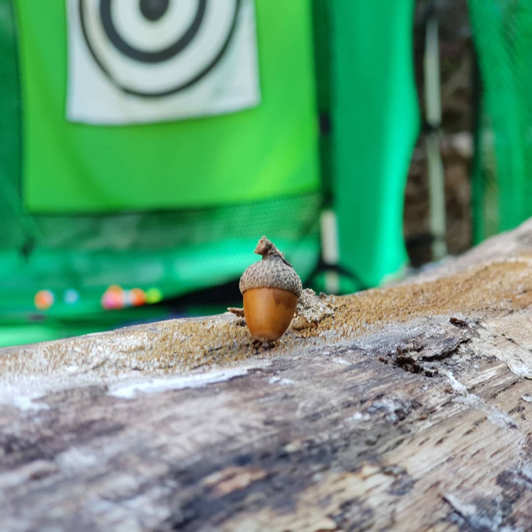 mingtrans's tweet photo. 180924 LIU IG Update
#Acorn #Chuseok #WordsOfMyFather #NaturalGuy https://t.co/bJqxHvUOWZ