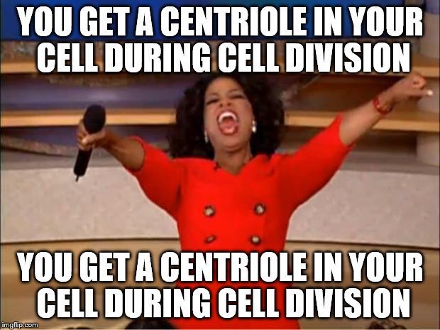 cytoskelecentri's tweet image. Centrioles for all!!!! We want all animal cells to be able to divide as efficiently as possible #DSAAPBio2