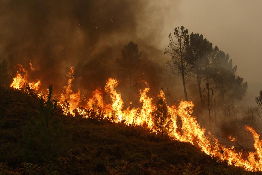 🔥 90% of wildfires in 2017 were human-caused, as higlighted by the latest JRC report on forest fires (ec.europa.eu/jrc/en/news/in…). Both the report and Commissioner for Environment <a href="/KarmenuVella/">Karmenu Vella</a> insisted that they can be effectively prevented by sustainable forest management.
