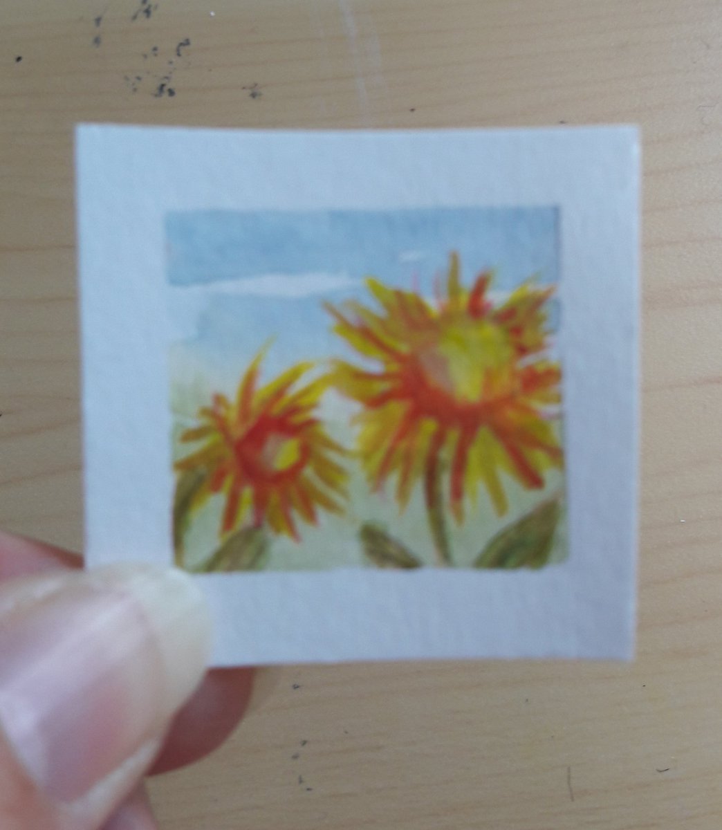 SallyJTaylor's tweet photo. #Day24 #DrawingADay 2 sunflowers @illustrationhq #johnVernonLord #september #illustration #draweveryday #watercolour #landscape #landscapepainting #seascape #skyscape #miniillio #hertshour #artlounge365 #inches #hertsartists #hvaf #inchsquare #sunflowers https://t.co/bhNIbrn6sR