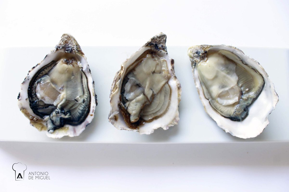 Indiscutible textura y sabor ... OSTRA ANCELÍN 🌊 de Cadoret ⭐️ 
bit.ly/2FZKTQG
#ostra #ancelin #mar #alimentosselectos #ventajasdetrabajarconantoniodemiguel
