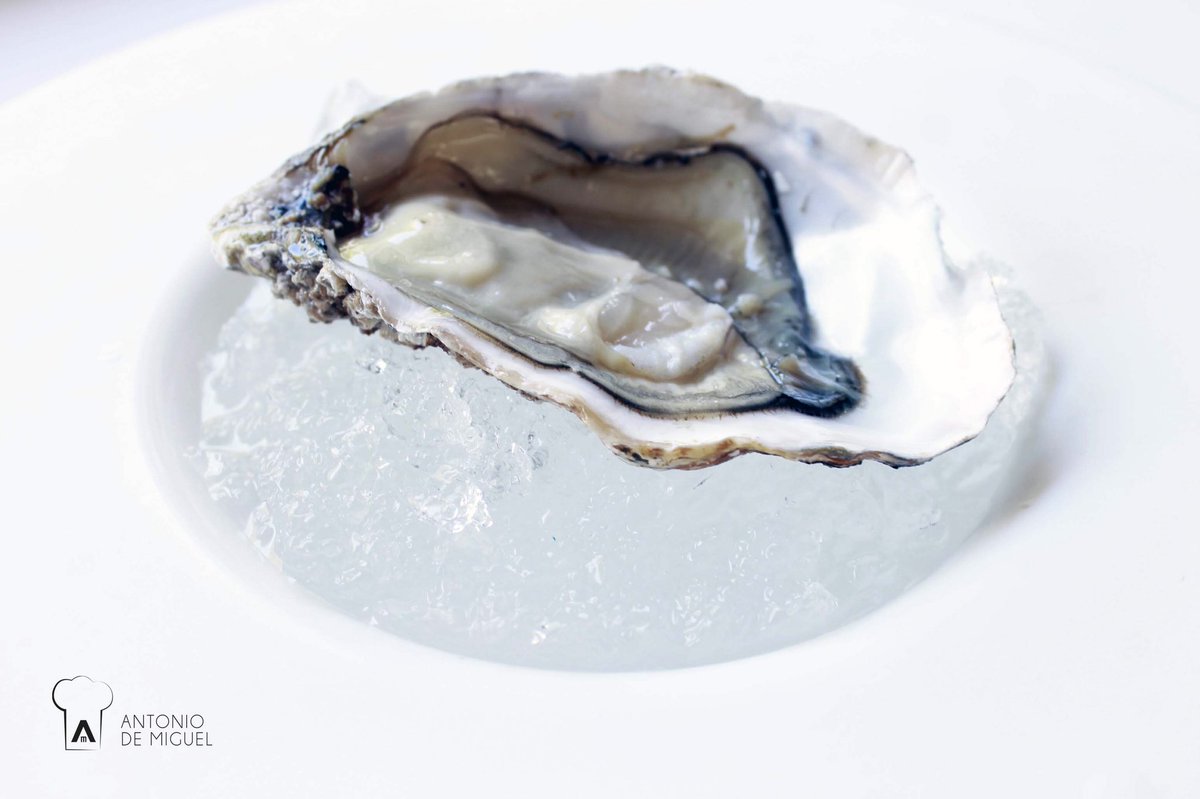 Antonio de Miguel SA tweet media