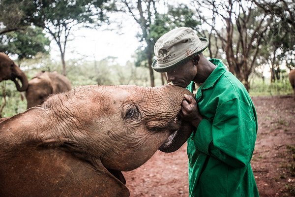 The Bench tweet media
