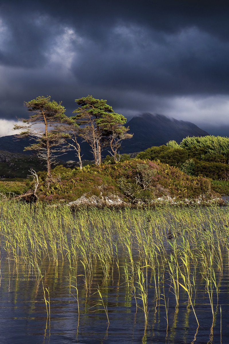 Glencanisp Estate 
#Assynt #Sutherland #Scotland #Scotspirit