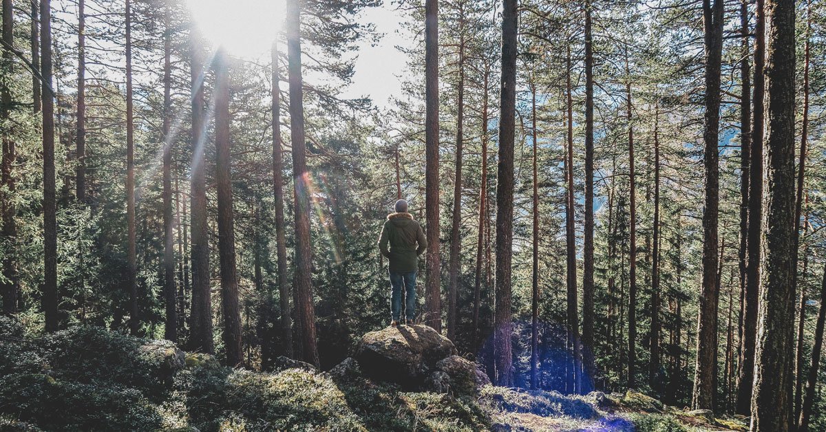 Tietoevry's tweet image. We are proud to be nominated to the #AuggieAwards 2018 with our collaborative #VirtualForest project together with @MetsaGroup @ctrlreality @simosol_oy &amp;amp; @helsinkiuni. Check the project out and support by voting bit.ly/2MXktC3! #TietoXRLab #VR #AR @VRFirstOfficial