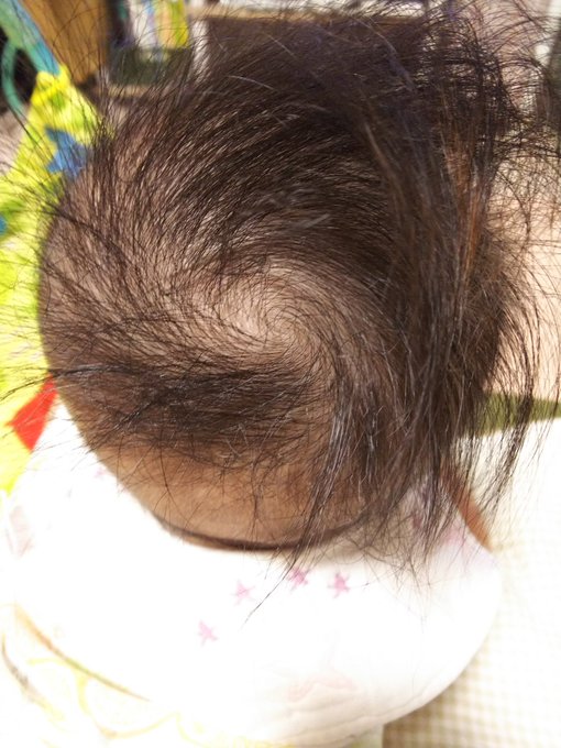 台風の目のtwitterイラスト検索結果