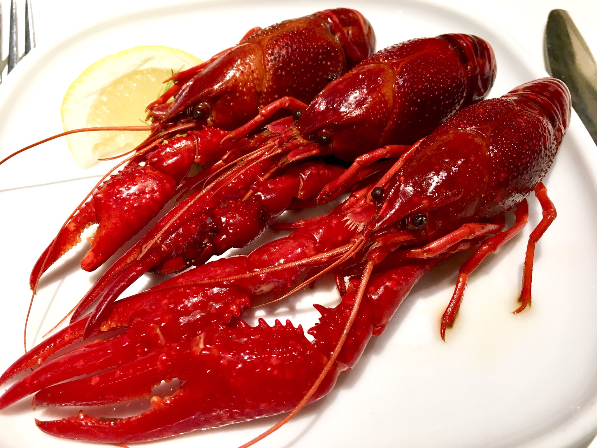 冨江 洋平 レストランでザリガニがあったので食べます ちょきちょき そして食べました 結果 味はカニやエビと変わんないけど 殻剥くのがめっちゃ硬くて 身が少なかった よって カニやエビを食べるのをお薦めする 笑 でも ご馳走さまで