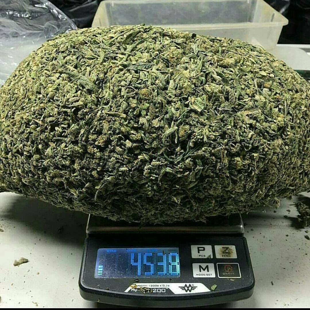____Cannabis's tweet photo. #Cannabis https://t.co/PCvUq2U84p