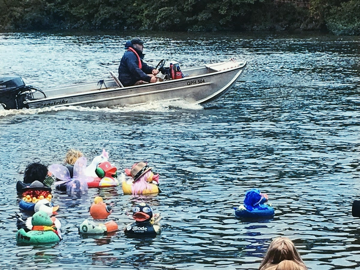 protosnetworks's tweet photo. What a fun weekend on the River Dee for the #ChesterDuckRace with @COCHfundraising 🎉Cyber Duck was so happy to be apart of it - well done to everyone involved! 📑🦆 #Chester #ProtosNetworks https://t.co/Jgg1uLRUBl