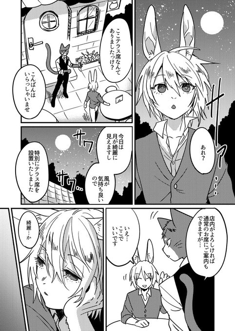 お疲れ様だけが辿り着ける幻の猫カフェ⑤
＃中秋の名月 
