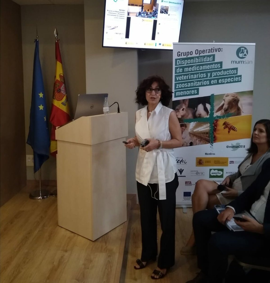M. Del Sol García, Jefa Servicio Productos Zoosanitarios. Subdirección Gral Sanidad e Higiene Animal y Trazabilidad del @MAPAGOB habla sobre Productos Zoosanitarios en el entorno ganadero, su procedimiento y legislación #10AÑOSVetmasi #sanidadanimal #animalhealth #medicamentos