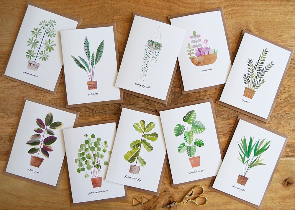 secretsofgreen's tweet photo. Have you heard the news? Paperwhale now stocks their gorgeous cards in pack of 6 and 10. Click here to shop all packs of cards! https://t.co/3DDYs6dOYY https://t.co/WTmpslS3Vi