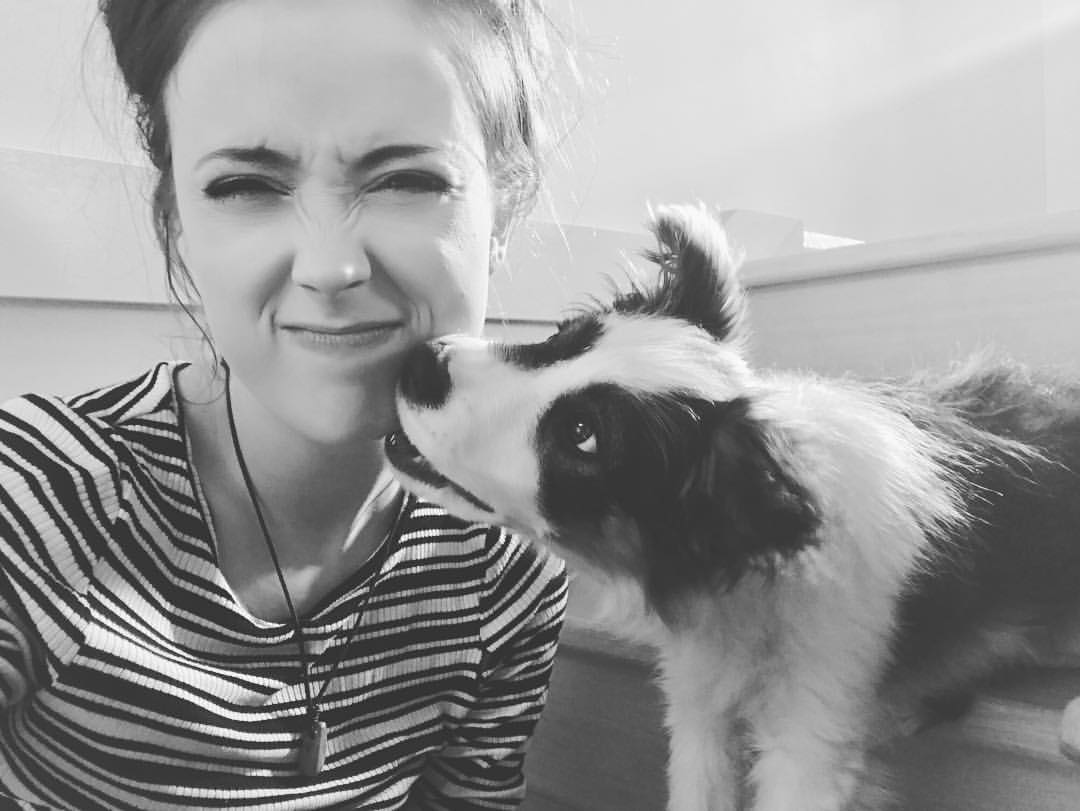 Rachelk_ink's tweet photo. Guess who is LIVE???? π
Yes yes that's right it's me! Surprise! π
Come and chat or lurk around! Your presence is a present π
β¨ https://t.co/NPMixHyk0s β¨
#PuppyAsha #TwitchKittens #SMDstreams #PC419 #TKlove https://t.co/hMG6aGsbUD