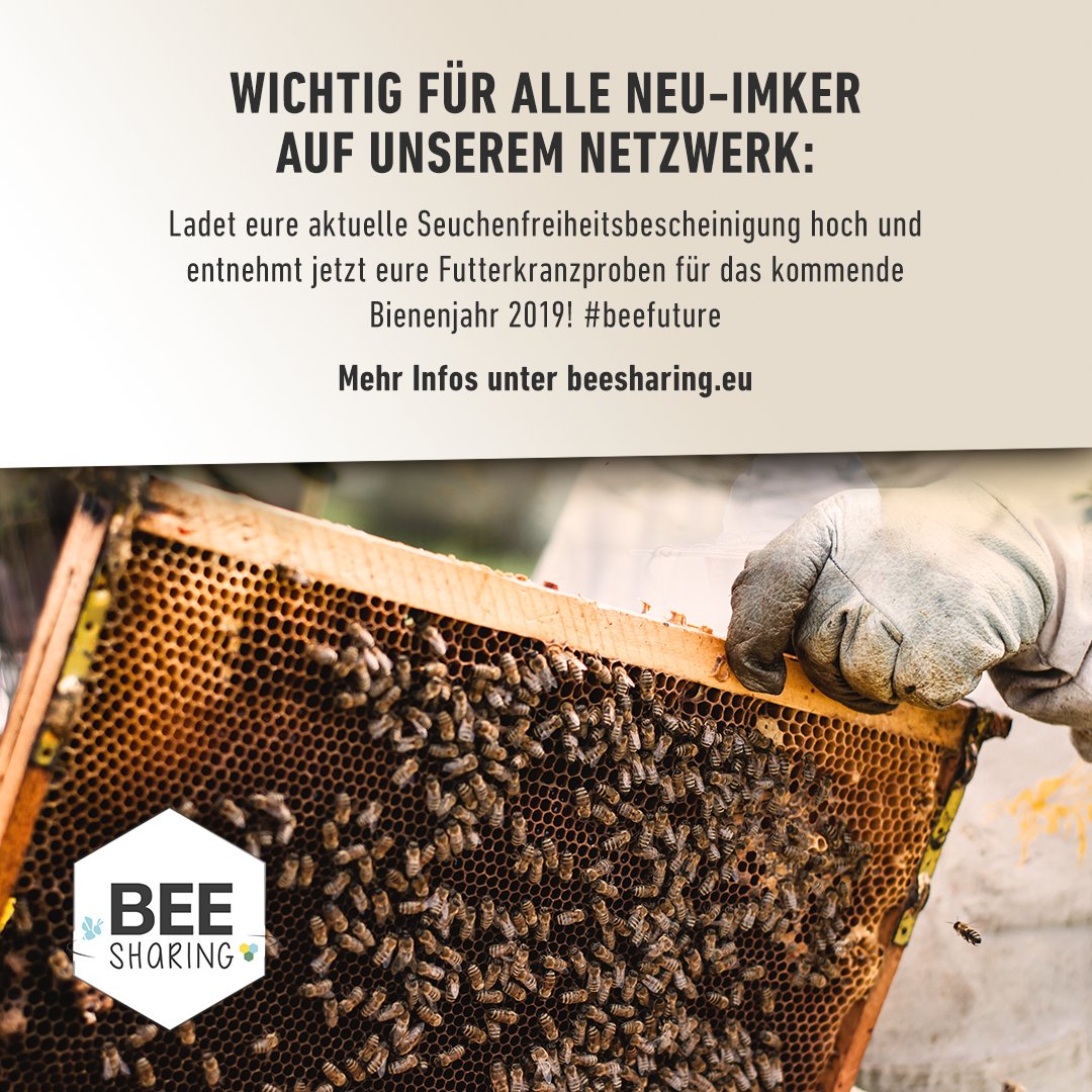 beesharing's tweet photo. Auf unserem Netzwerk dreht sich für #Imker alles um #Bestäubung, Transport, #Honig und #Bienenprodukte: Mit BEEsharing reduziert ihr Kosten & steigert Einnahmen!
Werdet jetzt Teil unserer digitalen Plattform für Imker, Landwirte & Bienenfreunde! #beefuture #deutschland #hamburg https://t.co/39IqvPRNdD