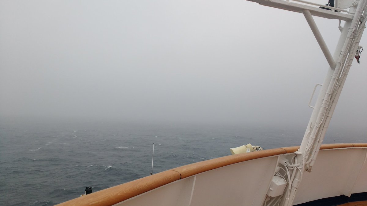 Nikki Taylor tweet media