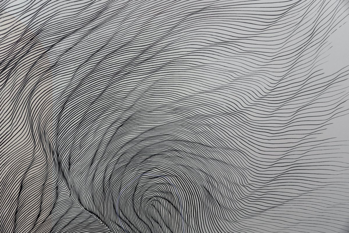 Bowdoin Art Museum tweet media