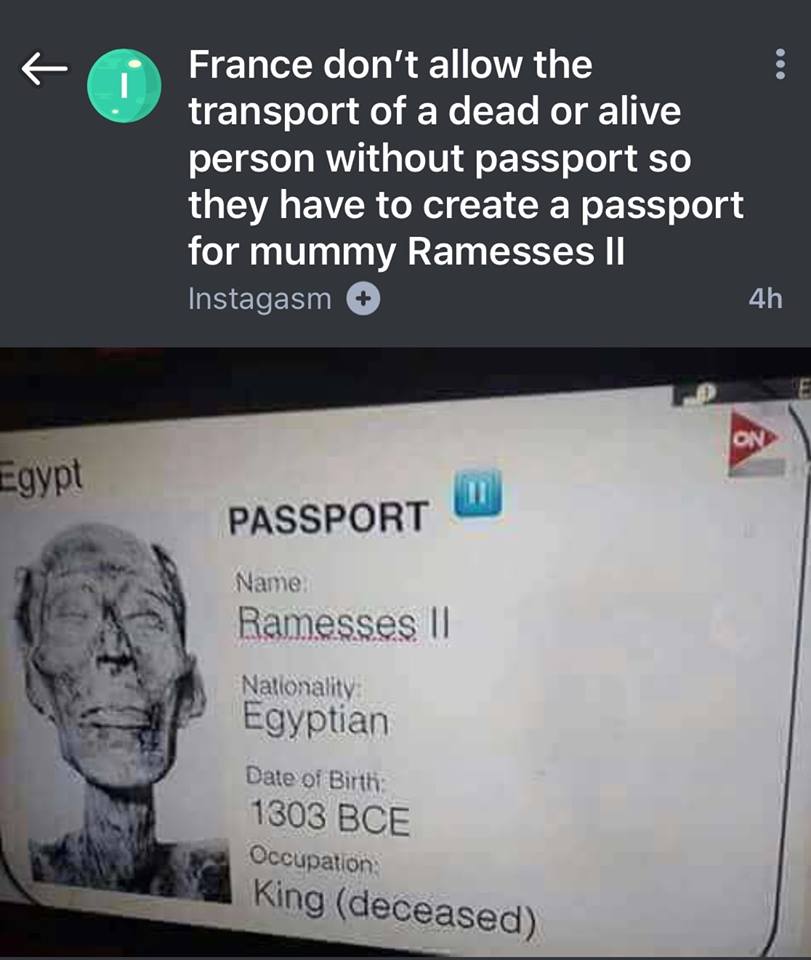 Trend_Humor's tweet image. 