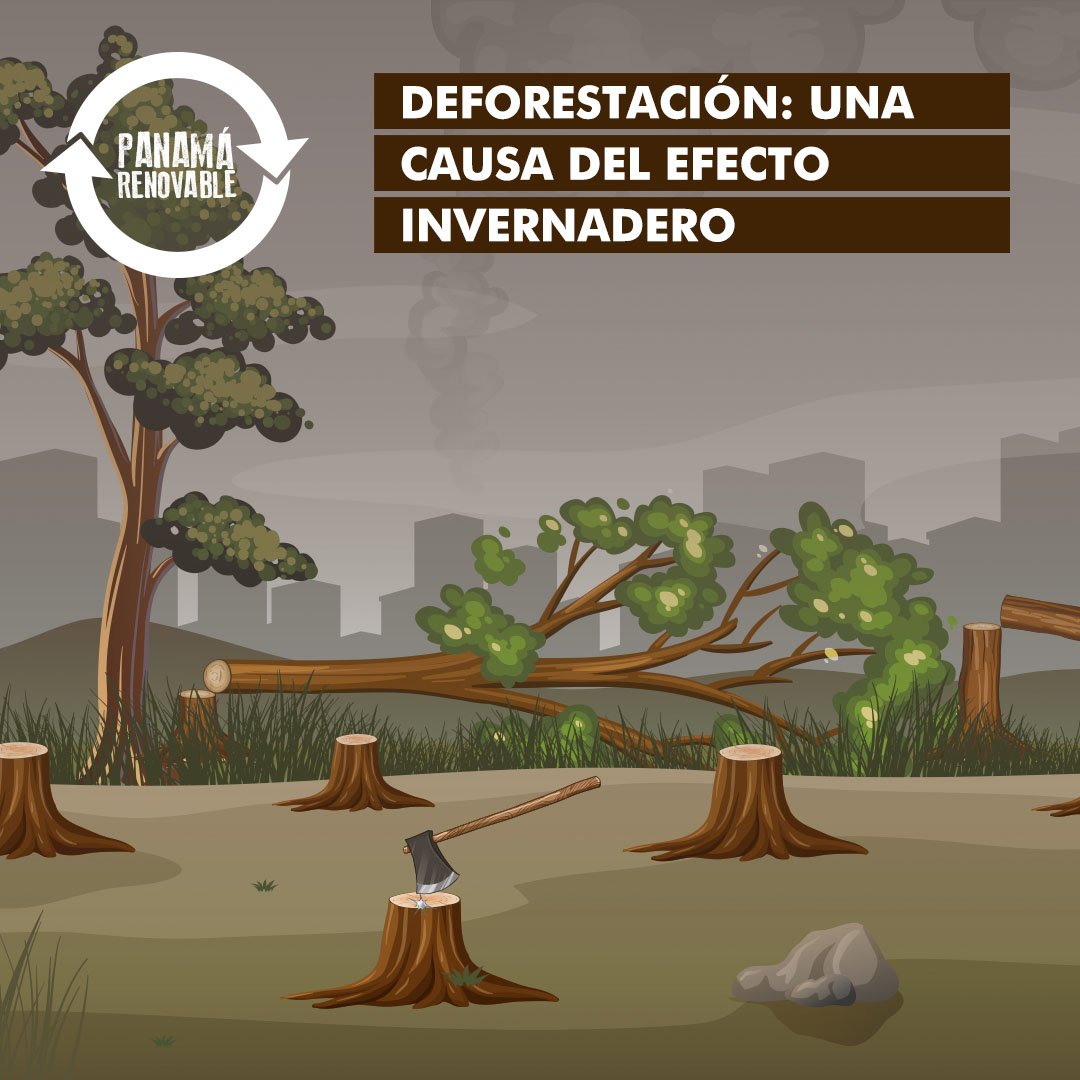 Los árboles y las plantas evitan que el sol llegue directamente a los  estanques, ríos y lagos. La deforestación también es de las principales  causas de las altas concentraciones de gases de, image size:1080x1080