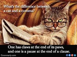 WsTranslations's tweet photo. National Punctuation day: Does punctuation really matter?
In their spare time some people enjoy cooking their families and their dogs. Others enjoy cooking, their families, and their dogs.

Hopefully you've never made any mistakes like this one!

https://t.co/W74DqBn2Lf https://t.co/8AxsqyHcsU