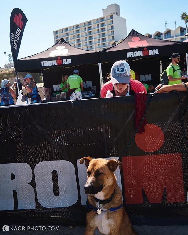 Hoomans... why you put yourselves through so much pain. I no understand. Can we go home yet... woof. 🐾🐶 ift.tt/2MSEUQF