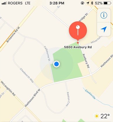 ‘He'll die': Bald #eagle on the loose in #Mississauga, owner desperate to find it
mississauga.com/news-story/892…