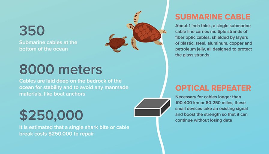 99% of the world’s #internet traffic is now, at some point, put on a #submarine network. Check out some of the interesting facts and myths surrounding these internet workhorses in the latest <a href="/Coriant/">Coriant</a> blog and infographic: bit.ly/2QU8F6D