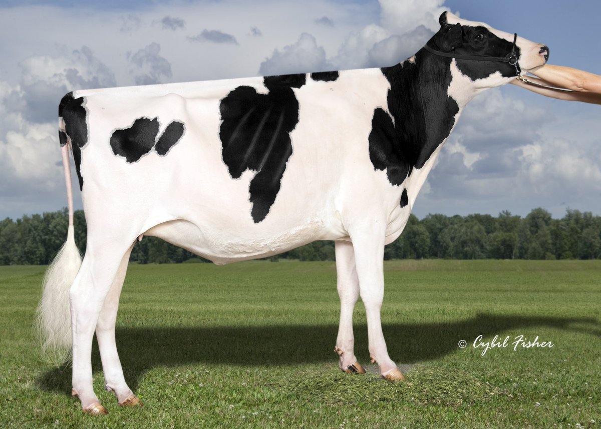 St. Jacobs ABC tweet media