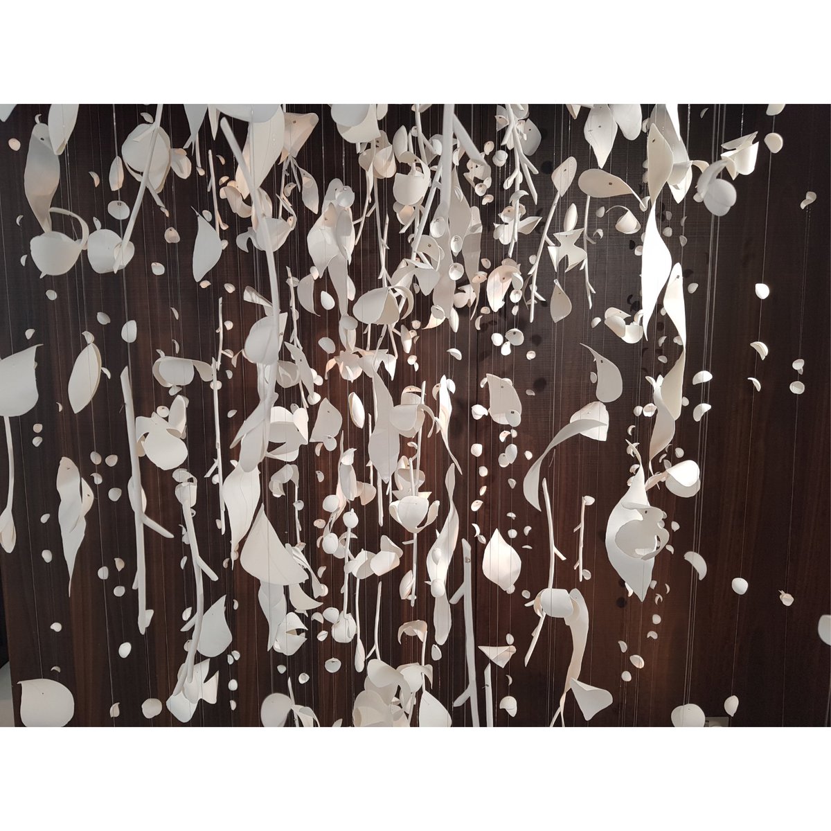 liinterior_'s tweet photo. Nature meets Interior Architecture at Liaigre <3
-Playing with shadows and the soothing sounds of porcelain
-Inspired by nature
#ldf18 @L_D_F #ldf18 #liinterior #linute #londondesignfestival #traveling #london #exibition #art #design #interiordesign #interior https://t.co/UzW6i5Kmnq