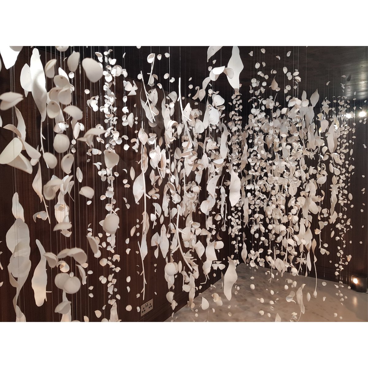 liinterior_'s tweet photo. Nature meets Interior Architecture at Liaigre <3
-Playing with shadows and the soothing sounds of porcelain
-Inspired by nature
#ldf18 @L_D_F #ldf18 #liinterior #linute #londondesignfestival #traveling #london #exibition #art #design #interiordesign #interior https://t.co/UzW6i5Kmnq