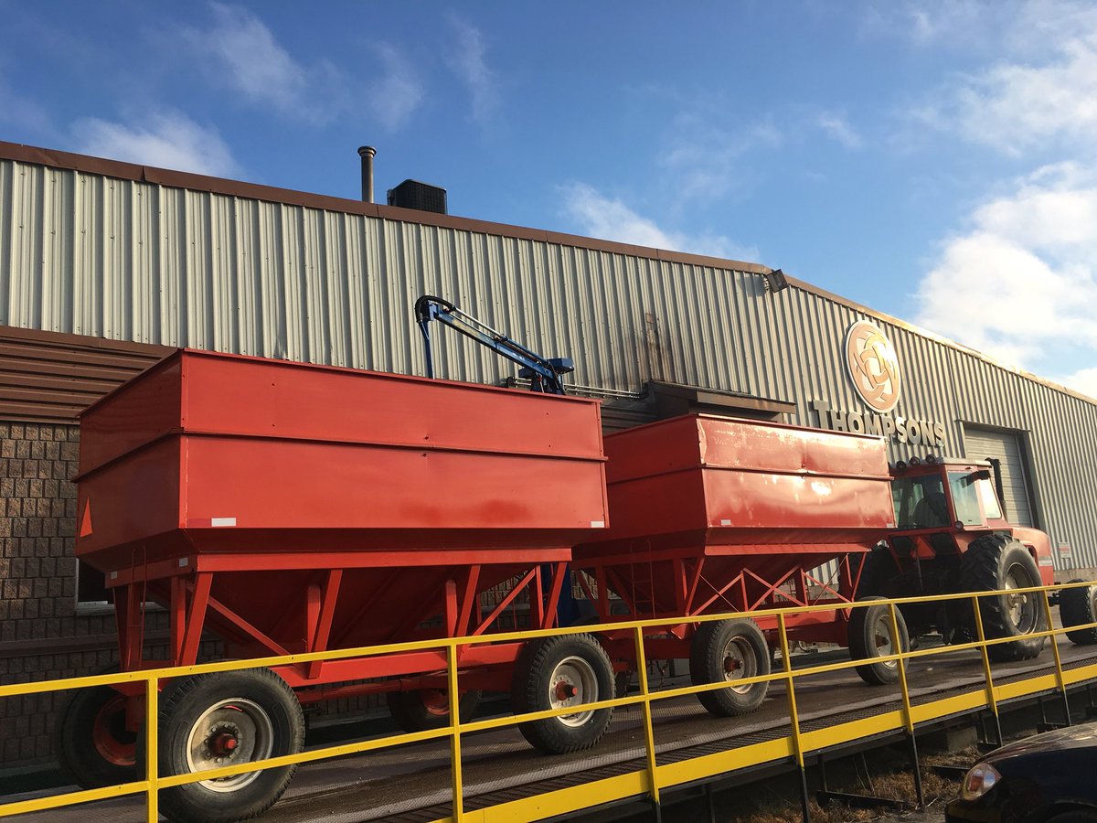 First load of beans into <a href="/NorwichBranch/">Thompsons Norwich</a> 11.6%  #harvest18