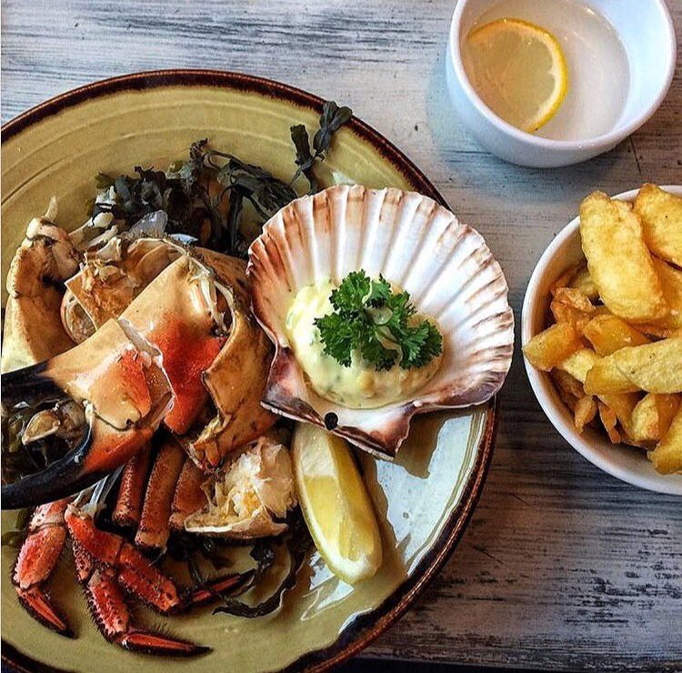 The Scallop Shell (thescallopshell) Twitter