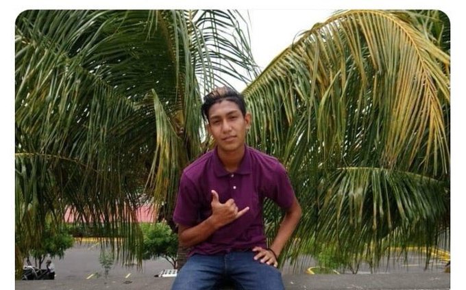 View image on Twitter