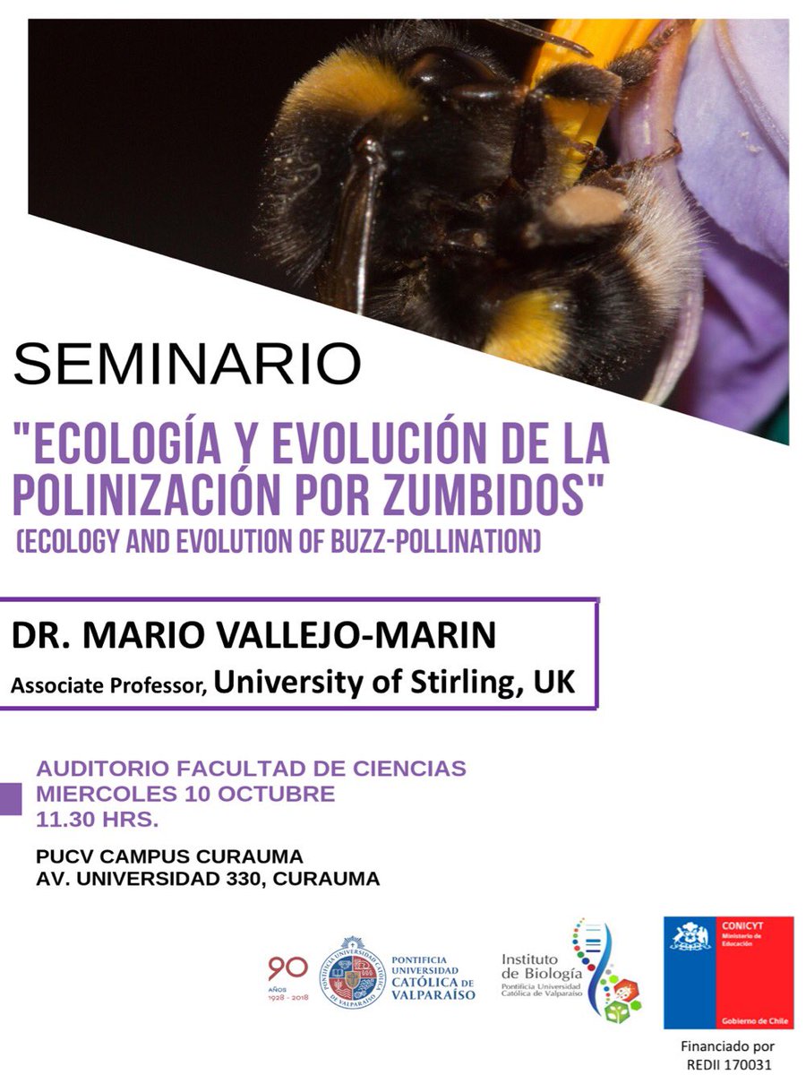 Seminario “Ecología y Evolución de la Polinización por Zumbidos” (Ecology and Evolution of Buzz-pollination) Dr. Mario Vallejo-Marin de la Universidad de Stirling, próximo Miércoles 10 de Octubre, Auditorio Facultad de Ciencias, Campus Curauma, PUCV <a href="/biologiapucv/">Biologia_PUCV</a> <a href="/CIENCIASPUCV/">MiguelGasson</a>