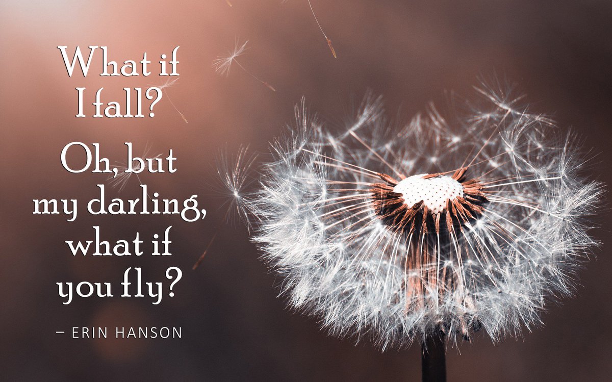 VIE Ability tweet media