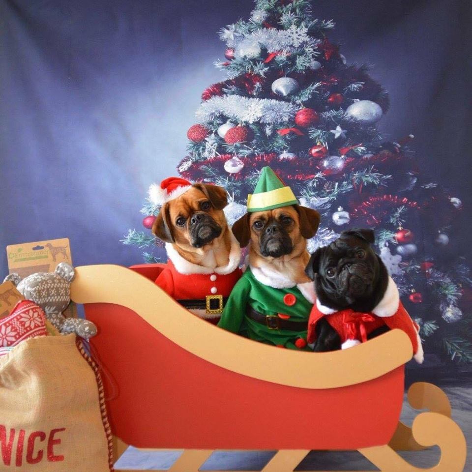 Craft_Wales's tweet photo. SLEIGHS SLEIGHS SLEIGHS "Flying" out the doors!! Contact @craftwales if you want to order yours!!!! https://t.co/Fl0ss3Aryx