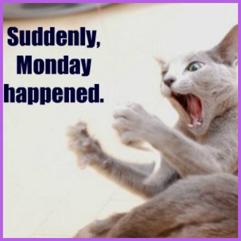 ForrestExterm's tweet image. A little funny to start your week :) #pestcontrol #moisturecontrol forrestexterminating.com #termites