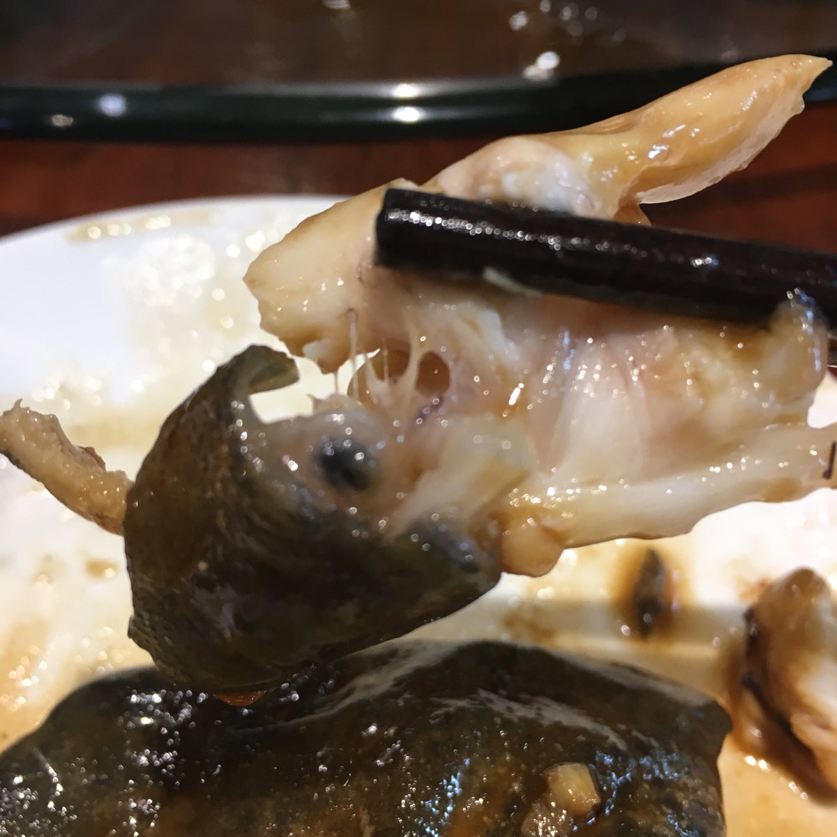 寧波 海鮮尽くしの旅