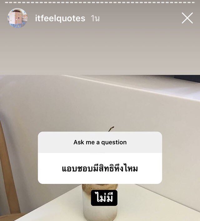 wrล์ | ᐢ ✿✿ ᐢ tweet media