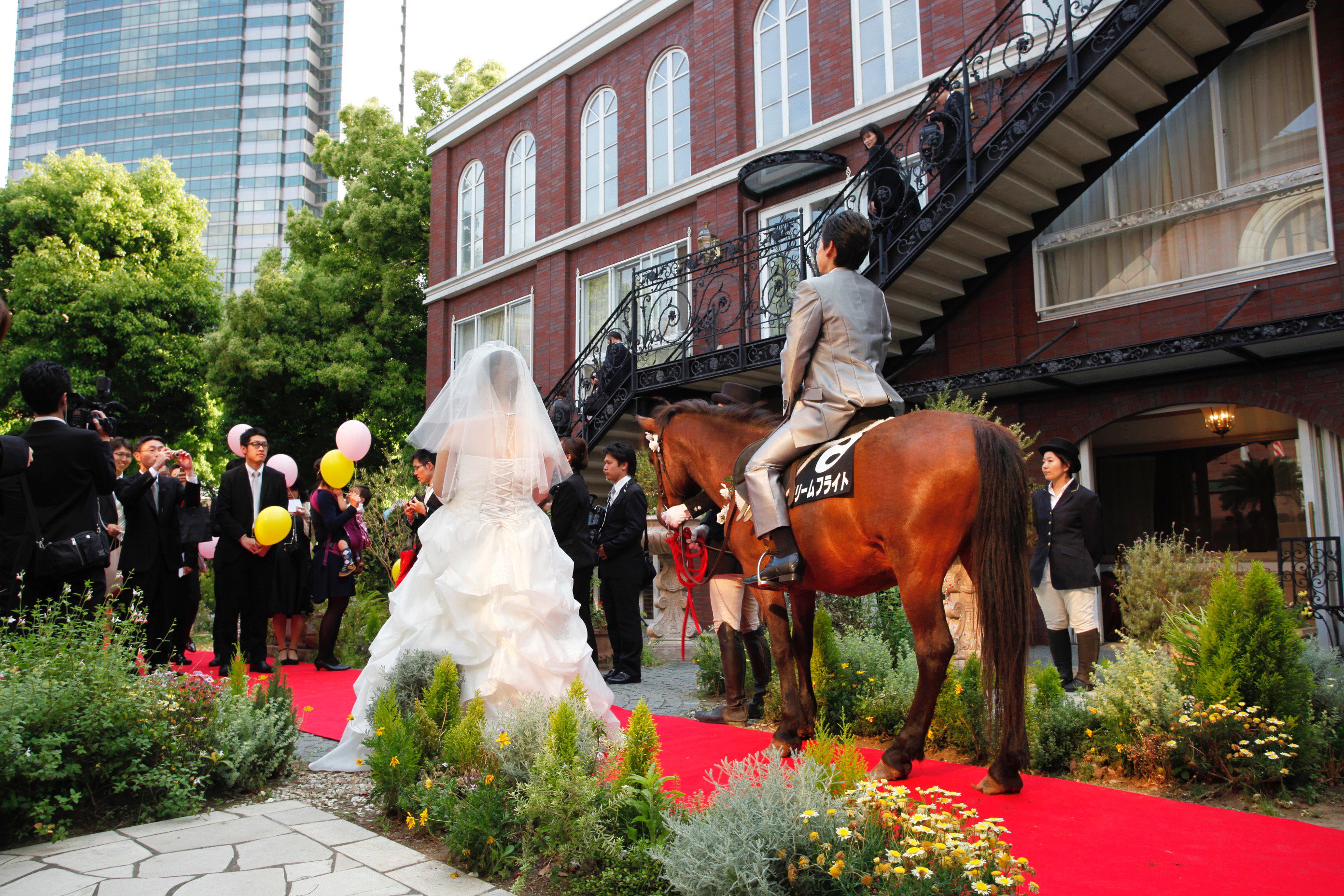 ٹوئٹر 馬と遊ぶ Farm Resort Onjuku ٹوئٹر پر ポニー 乗用馬 馬車出張致します 結婚式 プロポーズ イベント 撮影等どこへでも出張致します お気軽にご相談下さい ご予約 お問い合わせは 048 480 5711 Imageexpro Yahoo Co Jp 結婚 結婚