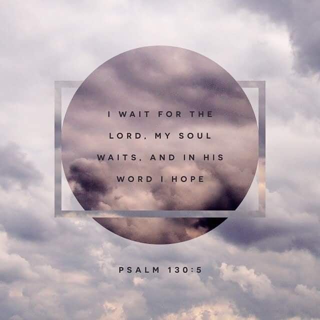 patsieler's tweet photo. Reposting @sharedaily.faith: - via @Crowdfire 
I wait for the Lord. My soul waits, and in his word I hope.
- Psalm 130:5

#knowledgeofself #jesusdiedforyou #inspiration #blessedasalways #wisdom #bibletime https://t.co/hYpFBw4MFW