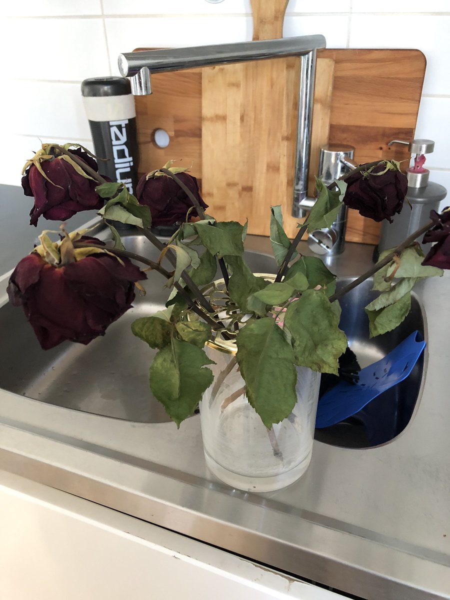 matildajacobs's tweet photo. Ska vi slänga dom här älskling? ”Vadå? Trodde det var fint med torkade rosor?” Ja. https://t.co/7k1Nq4qYpl