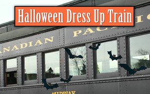WCRailway's tweet image. BOOK NOW for a ghoulish time on @WCRailway  #Halloween Dress Up Trains! 👻 Fun for all ages! Saturday Oct 27th! Click here &amp;amp; choose time that suits to reserve seats now! ow.ly/bkL530lWGAx 🚂🚃🚃 #party #event