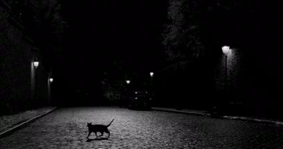 Starter for <a href="/VisionsOfNoir/">Cordelia Pryce-Chase</a>. Mentions <a href="/APryceNoir/">Wes Pryce</a> and <a href="/NoirLunettes/">Guillaume de Sanglant</a>. (<a href="/AFaithNoir/">Faith Pratt - Lehane</a>)