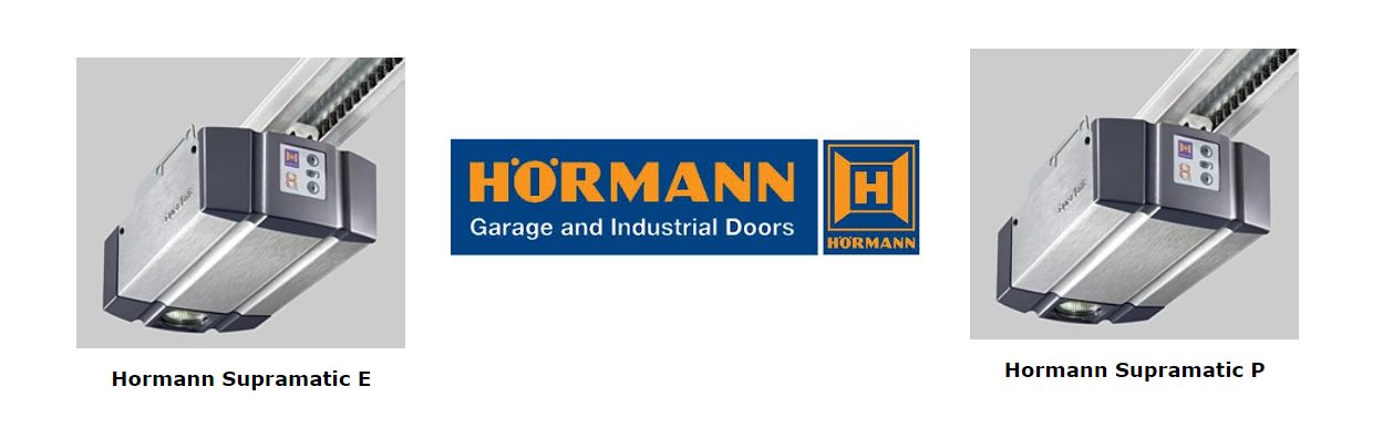 26++ Doorking georgian garage door ideas