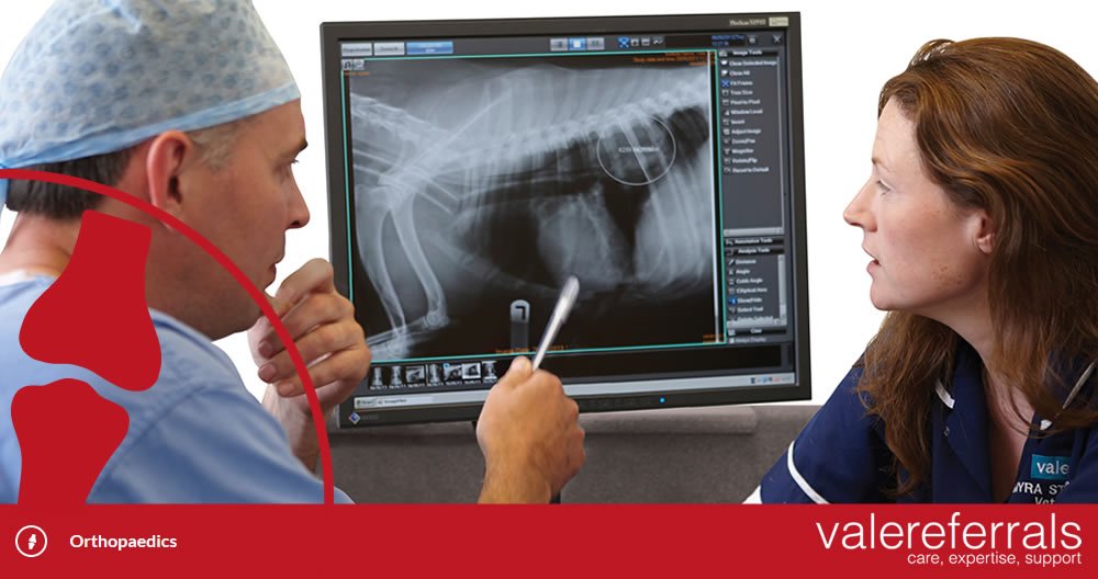 ValeReferrals's tweet image. Vale Referrals have a dedicated #orthopaedic referral theatre fully equipped for our orthopaedic cases. All aspects of orthopaedic&apos;s are assessed &amp;amp;  treated. Diagnosis is augmented by digital radiography &amp;amp; CT. Examples of orthopaedic cases covered are: valereferrals.co.uk/disciplines-or…