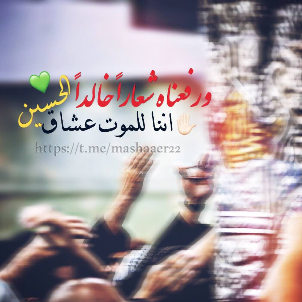 ..

...

• ورفعَناهُہ شعِاراً خالداً  ،🏴🌸"
• إننا للمَوتِ عِشاق الحُسين ،💛'