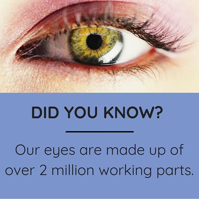 maranoeyecenter's tweet photo. The eye is one of the most complex organs.
.
.
.
#eyecare #eyehealth #healthyvision #healthtips #opthalmology #optomoetry #eyestrain #facts #visionfacts #lasik #cataracts #eyesight #glasses #njdoctors #2020vision #healthylife #eyes #happypatient #eyeheal… https://t.co/vm3qWAk5v5 https://t.co/BDp4V925Sp