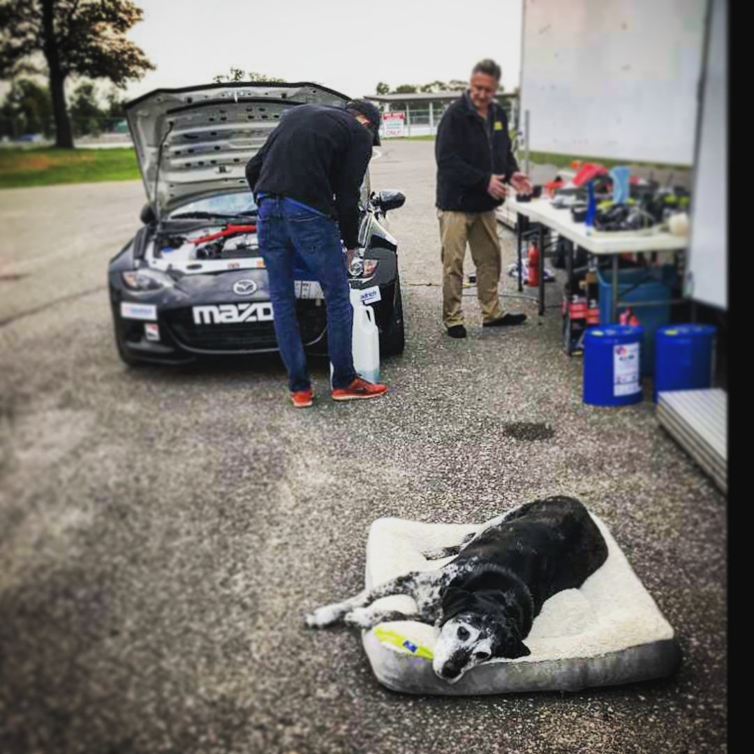 D2DMotorsports's tweet photo. We're up at Brainard International Raceway for some open track time today to shake some dust off the @GlobalMX5Cup number 61. @andrewlist61 brought along Obi the track dog... Obi's Monday is better than your Monday #mazda #zoomzoom #thefamilythatracestogether #bir #obithetrackdog https://t.co/mJbKYc0pRC