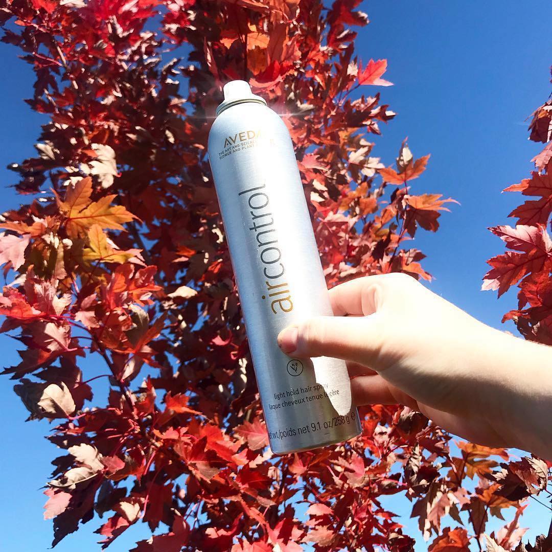AI_South's tweet photo. #AirControl offers flexible, lasting hold—for all hair types—and has a net-zero impact on the Earth's climate. Use it to give your hair lightweight hold with an amazing aroma. 🍁🍁🍁#Aveda #aisouth #Hair https://t.co/rL2E8IPBSY